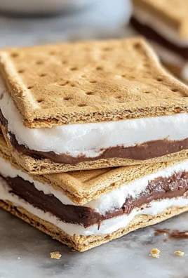 Frozen S’mores