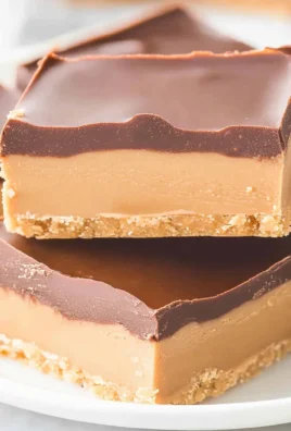 No-Bake Chocolate Peanut Butter Bars