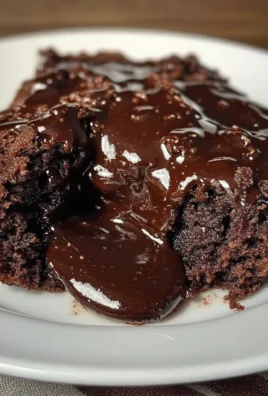 Hot Fudge Chocolate Pudding Cake