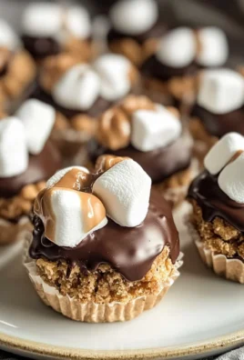No Bake S'mores Cookie Dough Bites